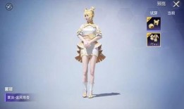 和平精英最新中转盘爆料最新,神秘奖励等你来拿！